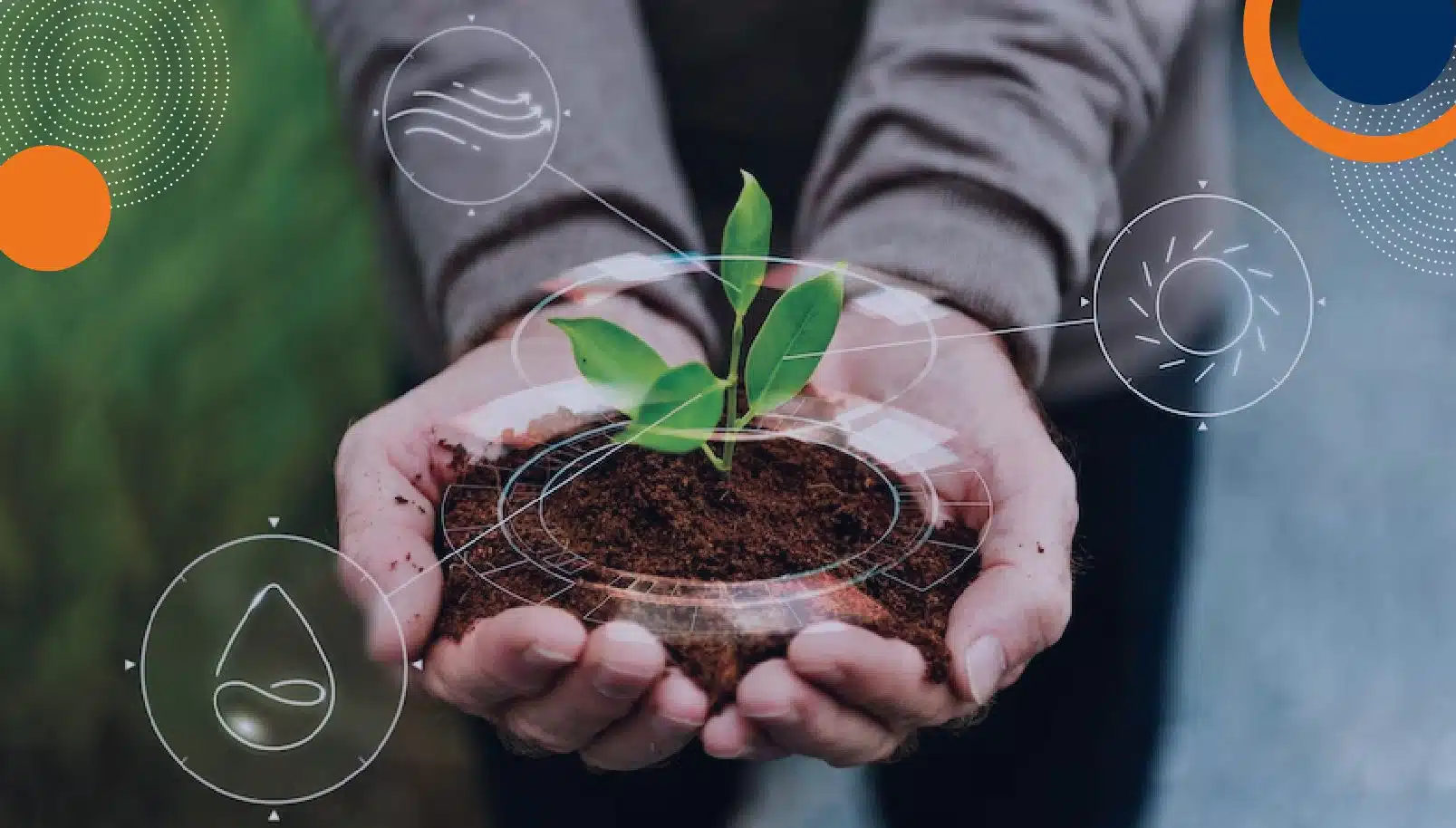 En la imagen se ven unas manos sosteniendo tierra con una pequeña planta verde en crecimiento. Sobre la imagen aparecen iconos digitales que representan agua, luz solar y aire, lo que sugiere conceptos relacionados con el medio ambiente, sostenibilidad o agricultura. - Fortox Security