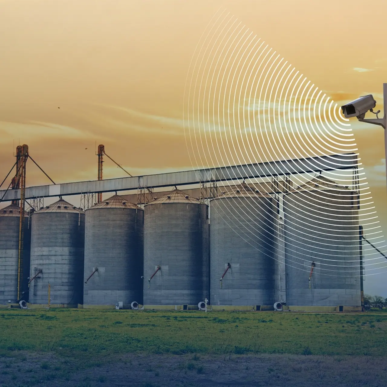 Centro de acopio agroindustrial protegido con vigilancia perimetral Fortox